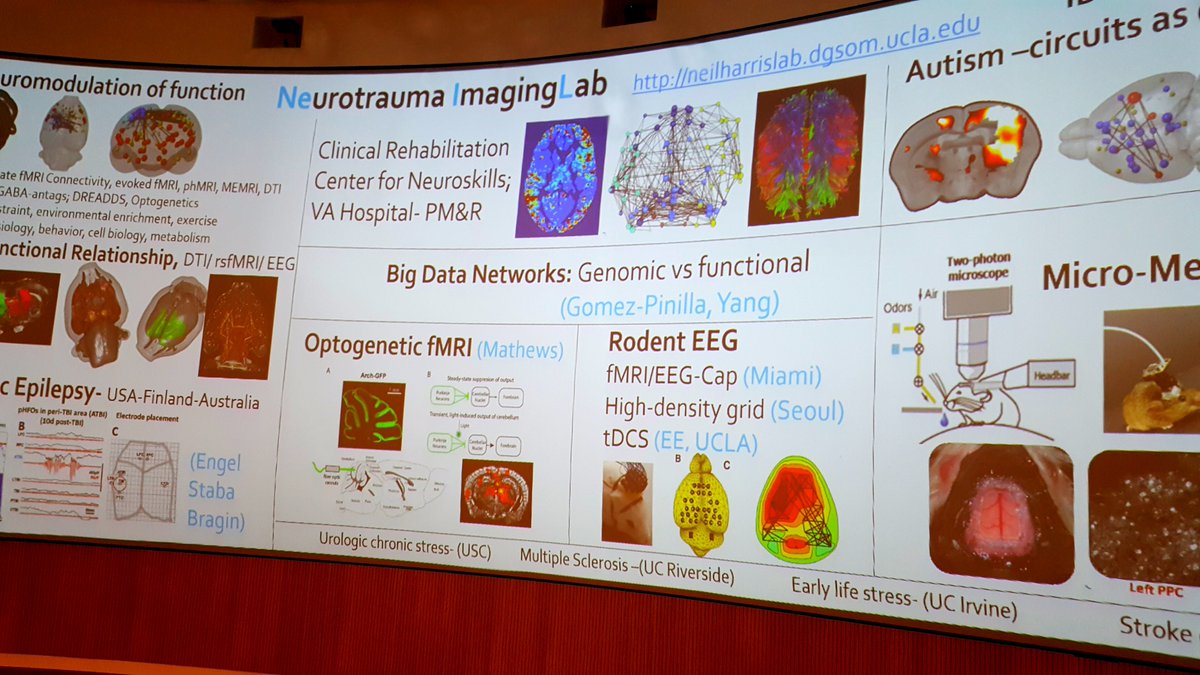 griz1's tweet photo. More faculty research @BIRC_at_UCLA #DrNeilHarris #networks &amp; #connectivity after #TBI. @dgsomucla @Neurotrauma @SfNtweets #MRI #plasticity https://t.co/nEwZp6hYEk