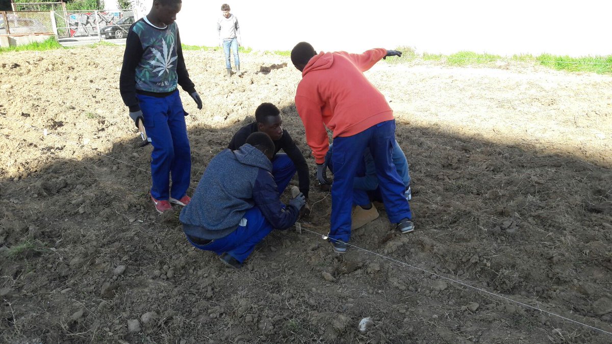 EscolaPiaSaltFP's tweet photo. El PFI de #fontaneria hem començat a col·laborar amb els  #hortssocialscomunitaris   @girones_mediamb #BenestarSocialSalt @escolapiacat https://t.co/znAvB1xIcx