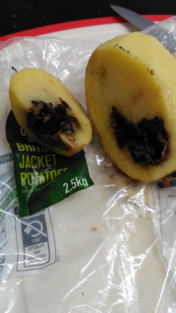 JP_Stephenson's tweet photo. @Tesco glad I never made my son a jacket spud tonight. Maggots aren't the protein I wish him to have! https://t.co/86jTUr20CN