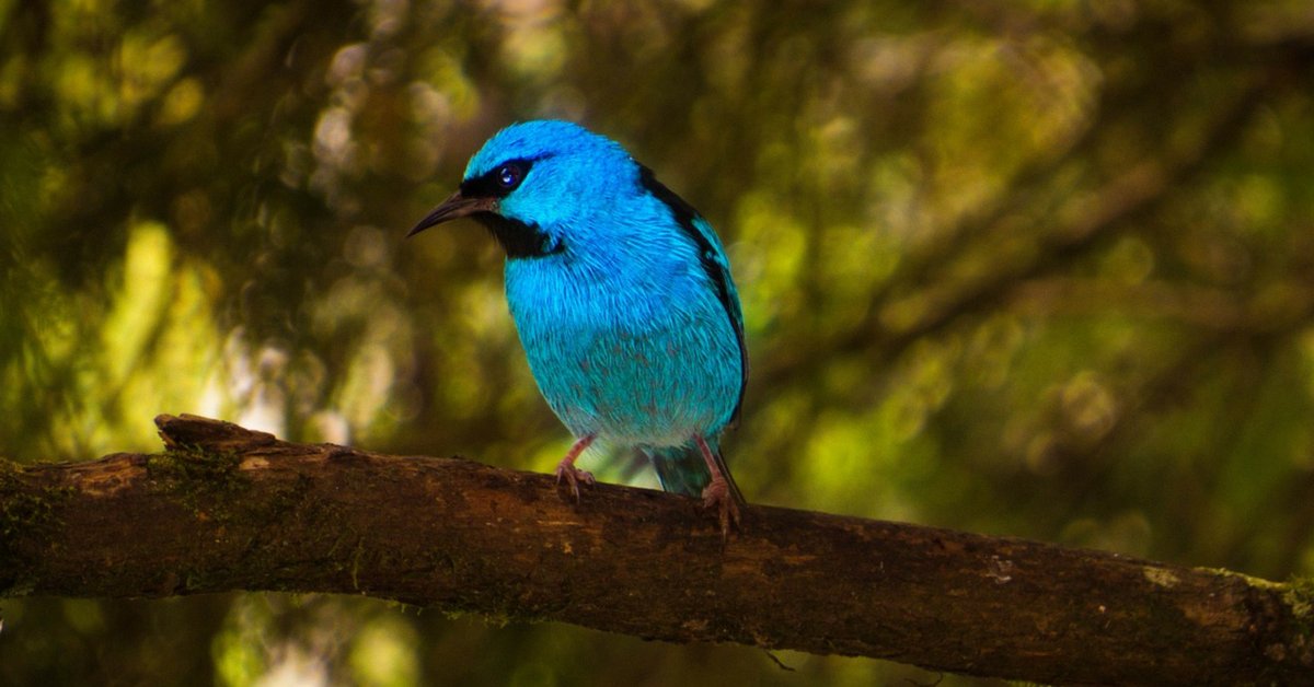 Why Twitter Marketing Is More Than Building Followers And Tweeting sumo.ly/j84P