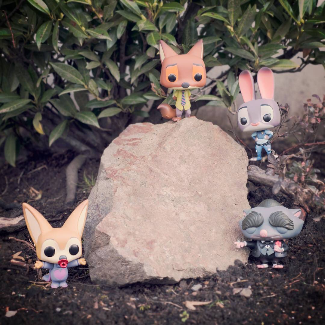UndergroundToys's tweet photo. Congratulations to Zootopia for winning the Oscar for Best Animated Feature Film! @funko #Zootopia #oscar #collect https://t.co/qHGnEbmN6G