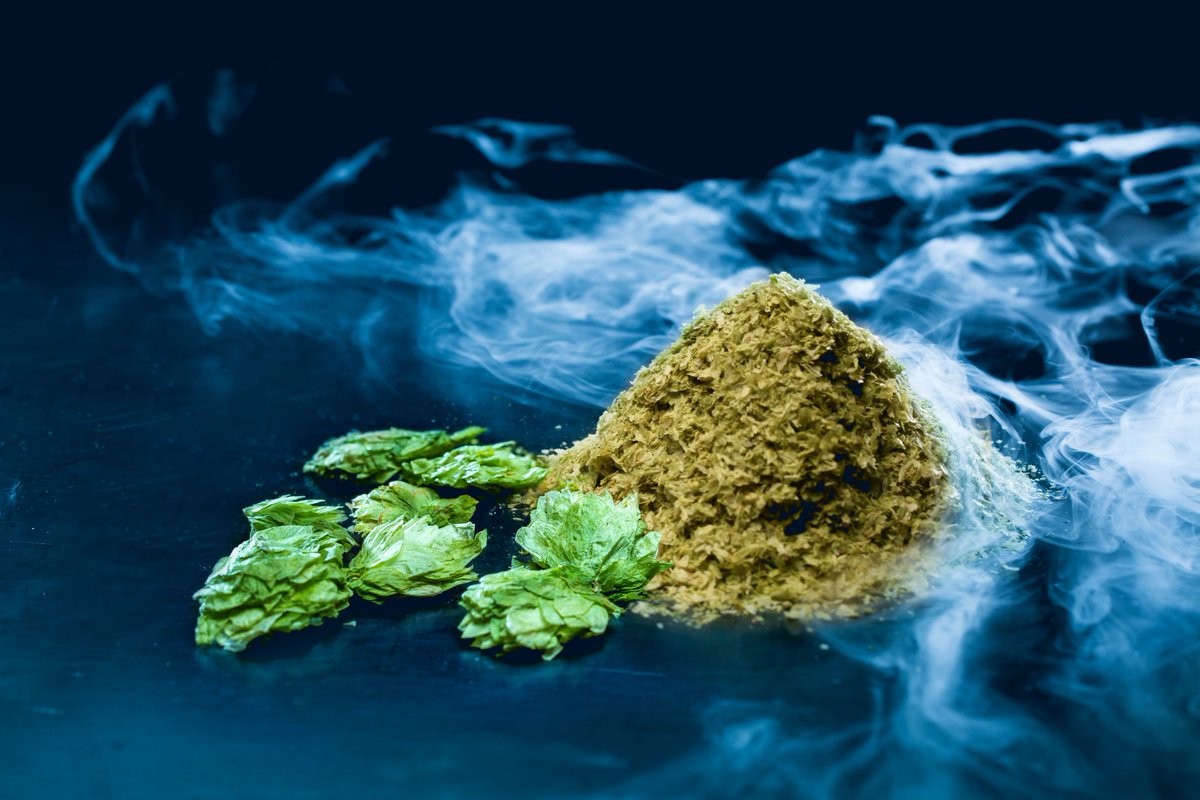 BREWPUBLIC's tweet photo. .@YCHHOPS launches new Cryo Hops product line. Details: https://t.co/ovdAcjMqHk #hops #hopnews #yakimahops #hopunion #YCH https://t.co/z8ck0C3pQh