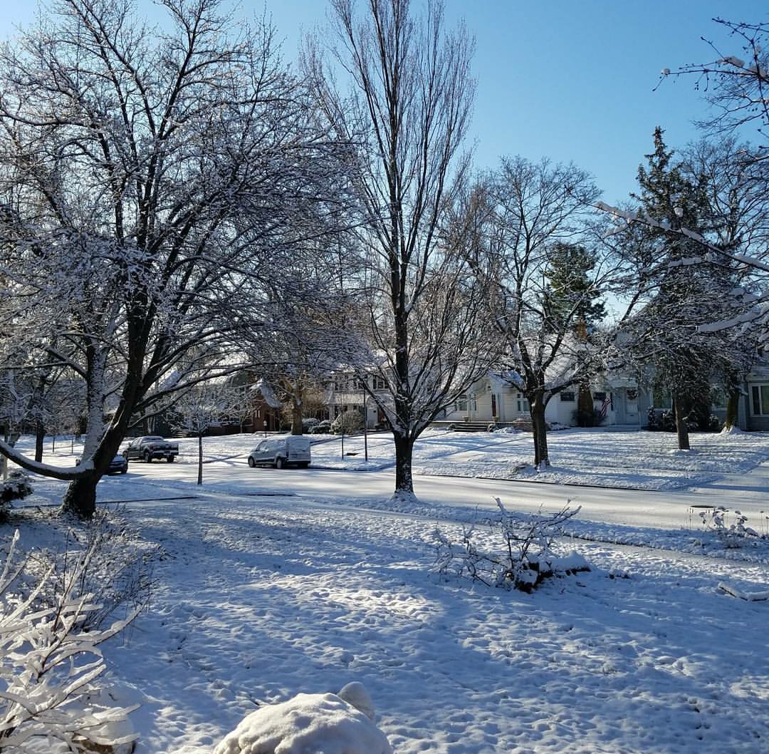 BarrettAll's tweet image. This was April last year. 😆#SpringIn5Words #puremichigan