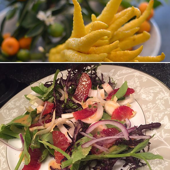 Using the Buddha's Hand for this elegant citrus salad... Visit theslolane.com