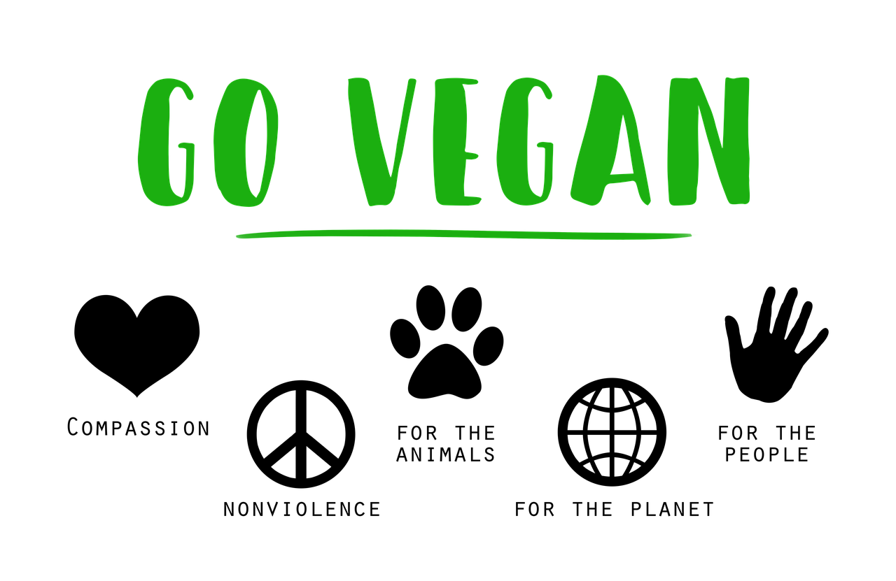 Como ser vegano