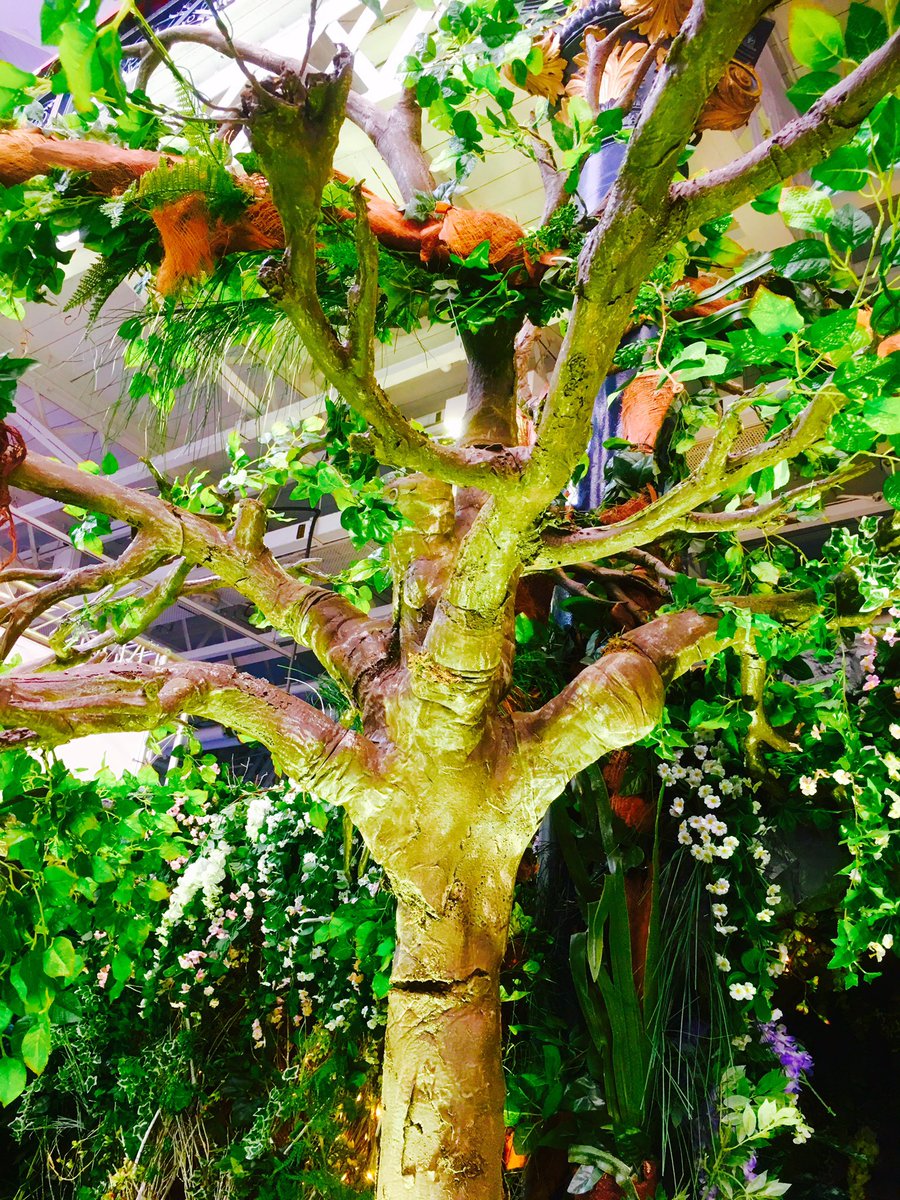EventTrees tweet picture