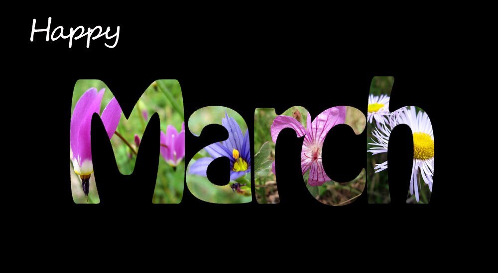 kannonhicks's tweet photo. Happy March to you! #march #marchonin #newmonth #newgoals #pilotseason #actorslife #himarch #hellomarch https://t.co/qPWgoFI2yS