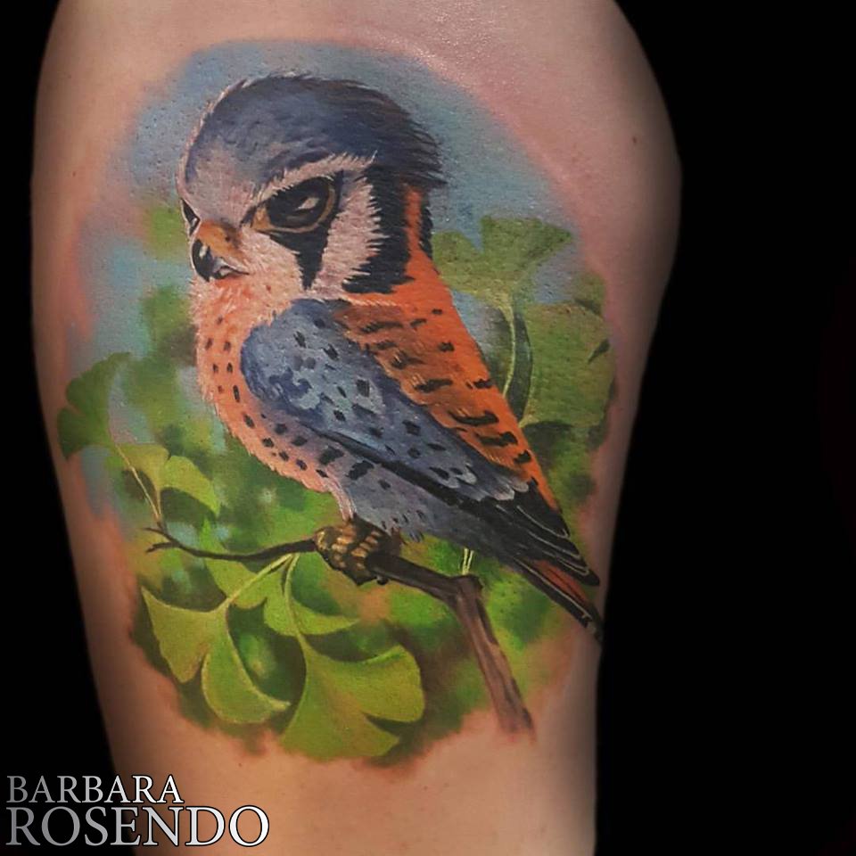 Barbara Rosendo On Twitter Petit Oiseau Couleur Réalisé à