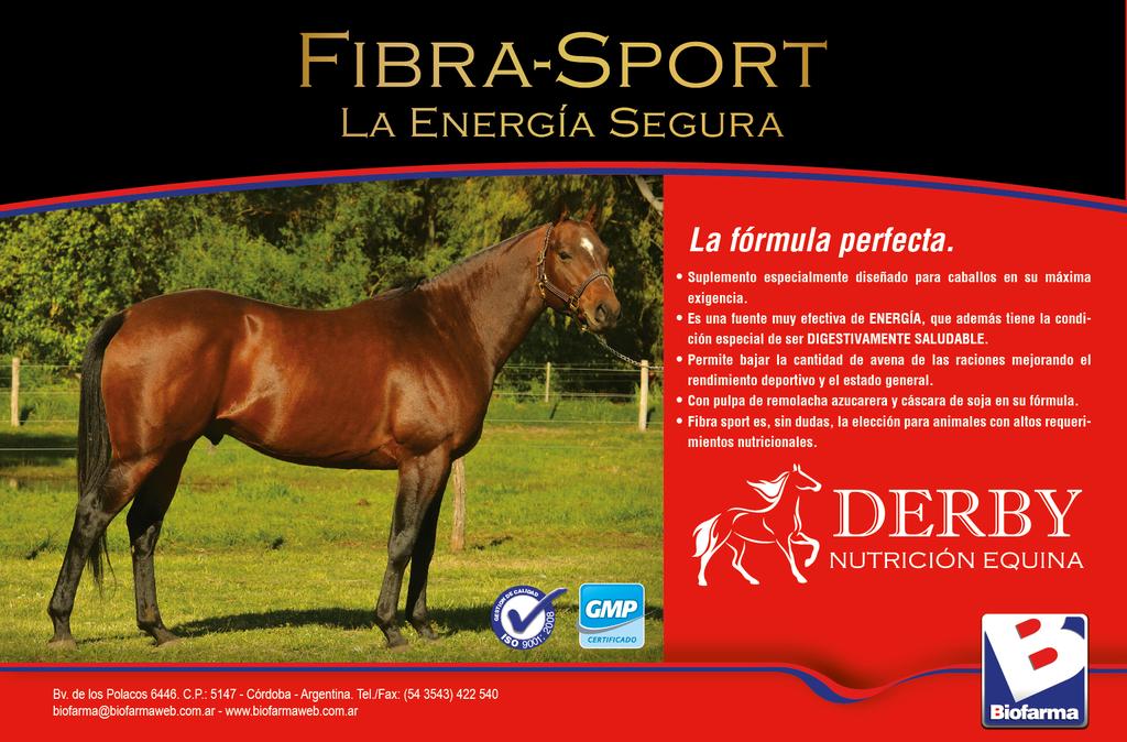 LineaDerby's tweet photo. Derby Fibra Sport. La formula perfecta. https://t.co/vCovqtzucK