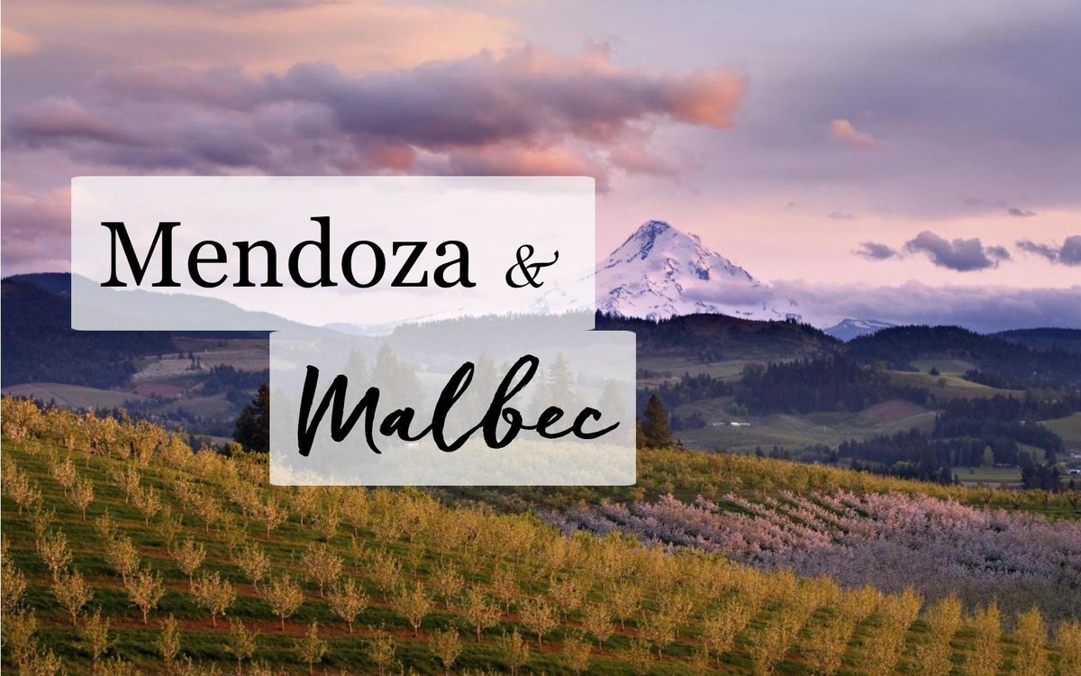 #Malbecmonth is back! So much to taste, lots of offers on, food to pair, offers to take advantage of... too little time #passmethemalbec