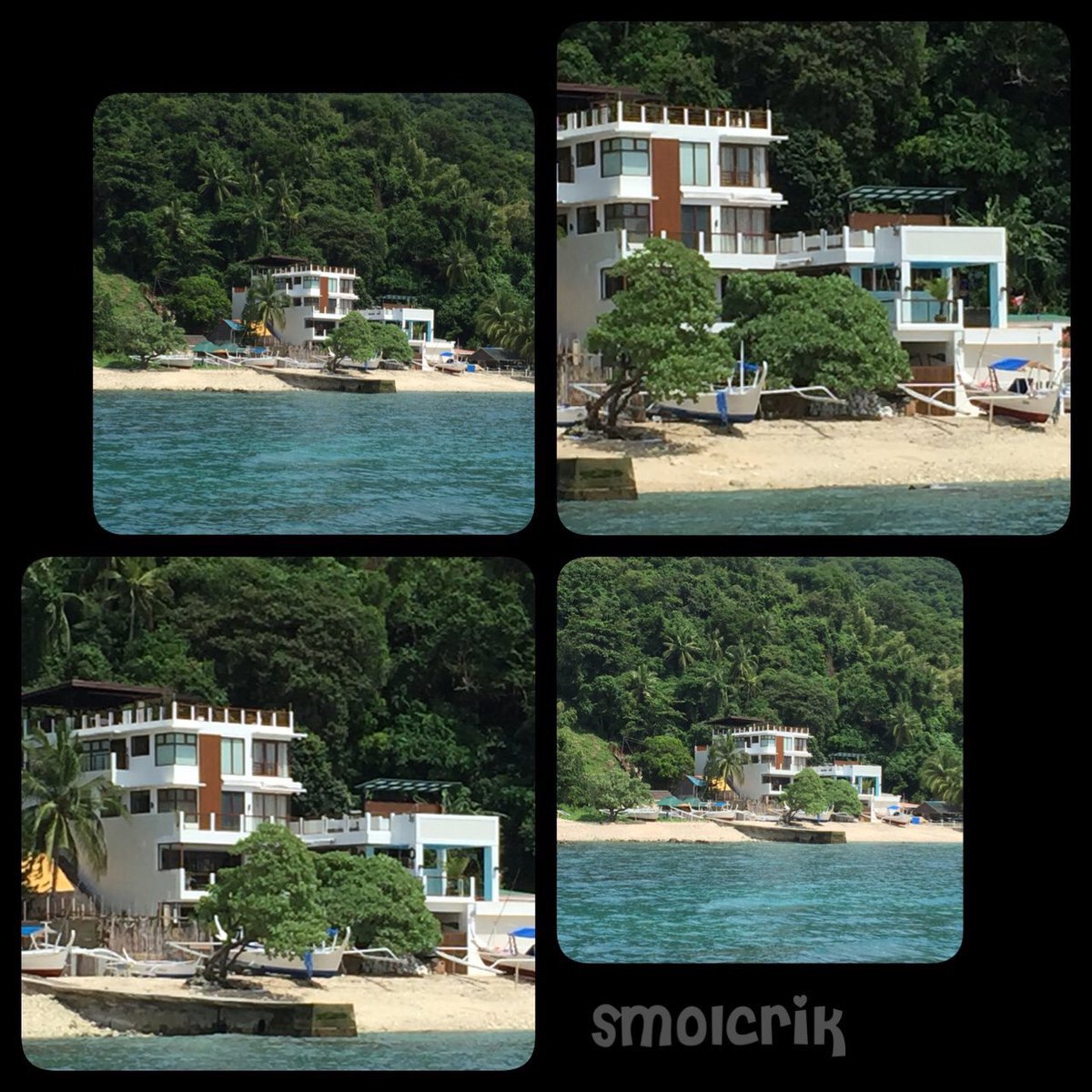 QuenitoPepito tweet media