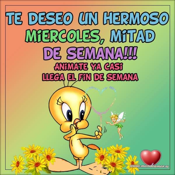 leotarot's tweet photo. Buenas tardes y Feliz Miércoles!!! #leotarotweb #FelizMiercoles https://t.co/LKgwr2FbvR