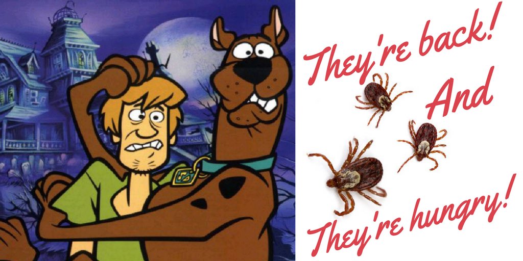 Spring has almost Sprung! Let's be #Tick ready! They can be ready to start feeding as soon as it's 4°C Check in at your vets. #Prevention