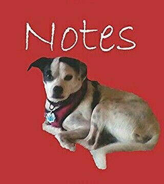 Ritaferdicom's tweet photo. #Schoolnotebooks #school
#Amazonschoolsupplies Available Amazom Author Rita Ferdinando
https://t.co/rLuRwQzF75 https://t.co/lAdLRUHYEW