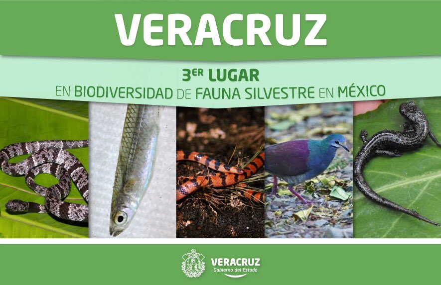 Download 72 Gambar Flora Dan Fauna Yang Paling Mudah Keren 