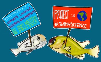 raynamharris's tweet photo. This is the best! @jmbutler18 from the @MaruskaLab has a new blog about cichlid fish! #sciart #SwimForScience https://t.co/u1lqcyhqkK https://t.co/g5cwz45ANw