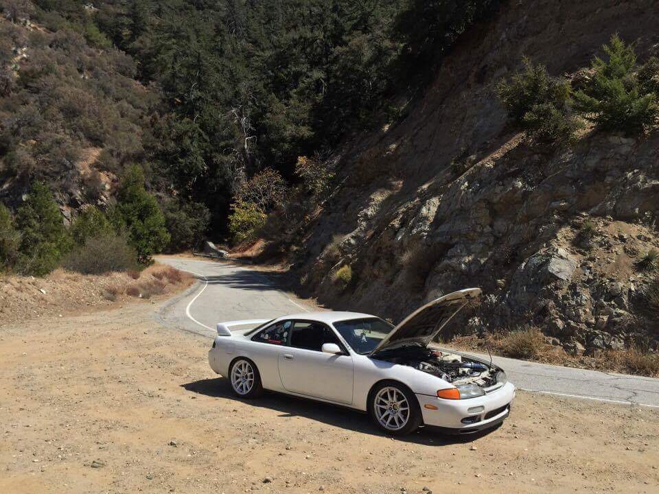 ___lindsx's tweet image. Summer days on the mountain pass.
#tougesociety #foreverstreet
