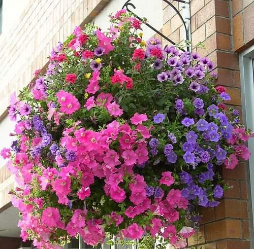 touk1978's tweet image. 