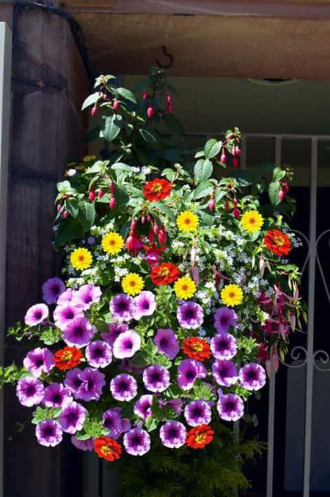 touk1978's tweet image. 