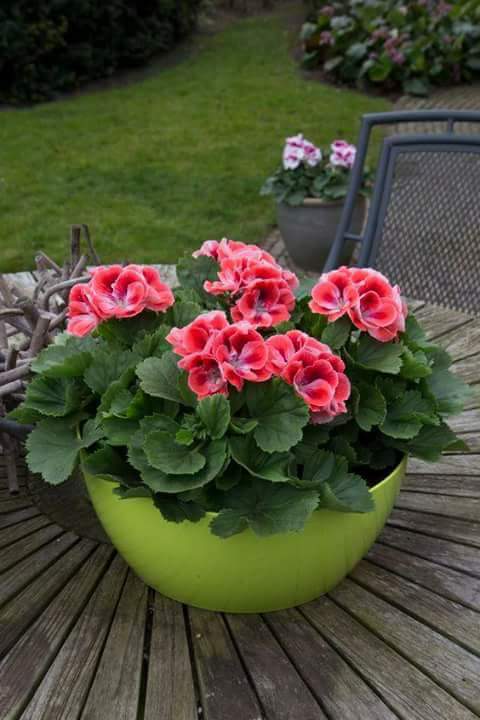 touk1978's tweet image. 