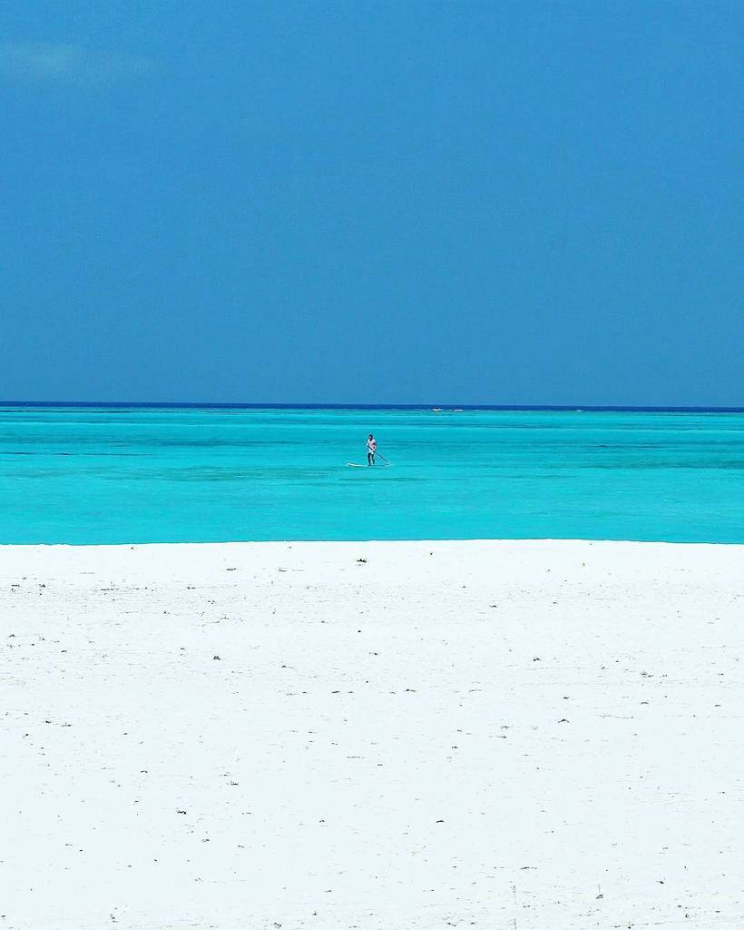 omaldives's tweet photo. The Maldives Islands #Maldives
Photo @sambinding
#luxuryworldtraveler #sandy #beach #relax #tropicalisland #tranqu… https://t.co/aKxuakZmfg