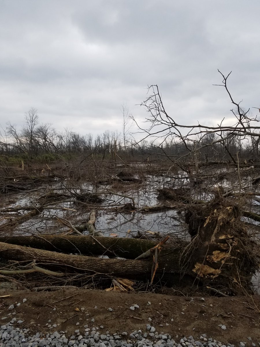 davancharlene's tweet photo. # Crossville area @Byron14News @Jeff14News @Eric14news @ErinMeyer14News @Dan14News https://t.co/kBzX34GhHG