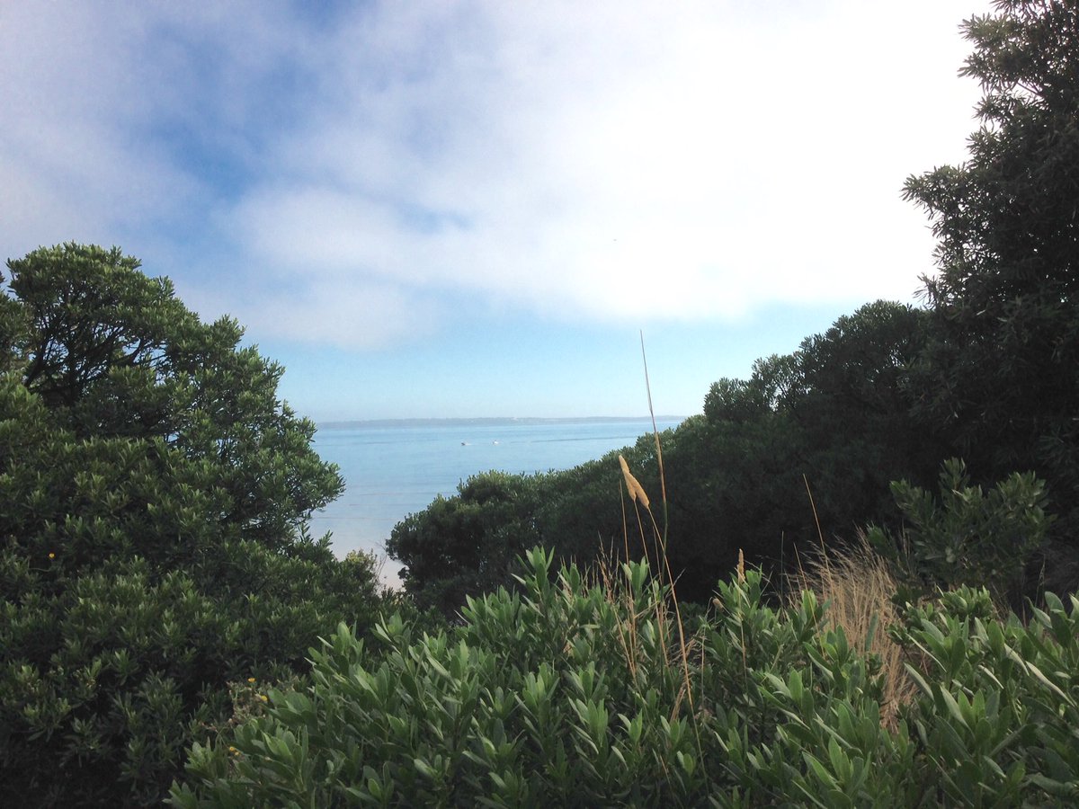 PIWalkabout's tweet image. Good morning Autumn