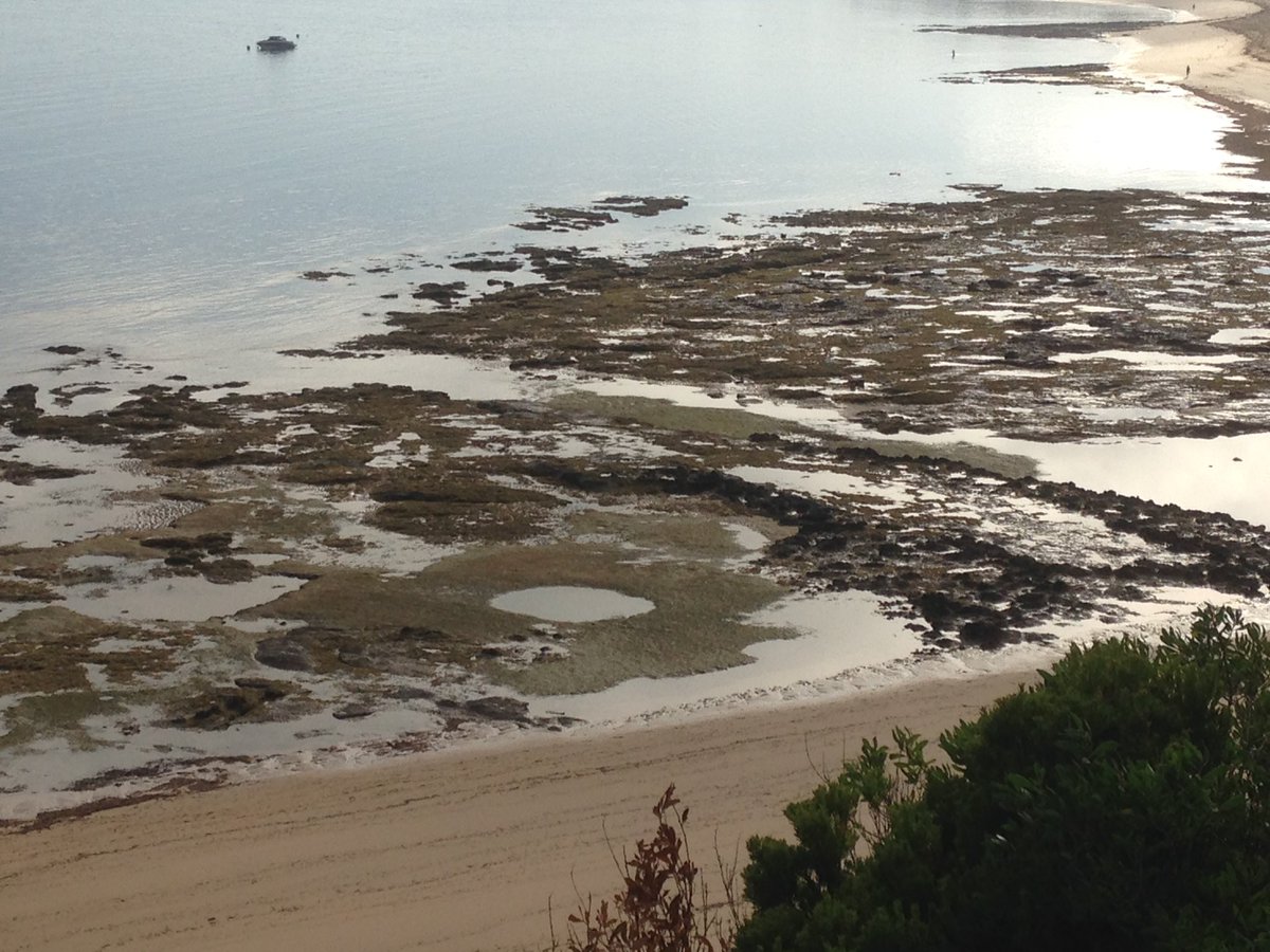 PIWalkabout's tweet image. Good morning Autumn