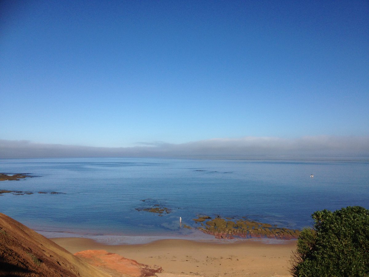 PIWalkabout's tweet image. Good morning Autumn