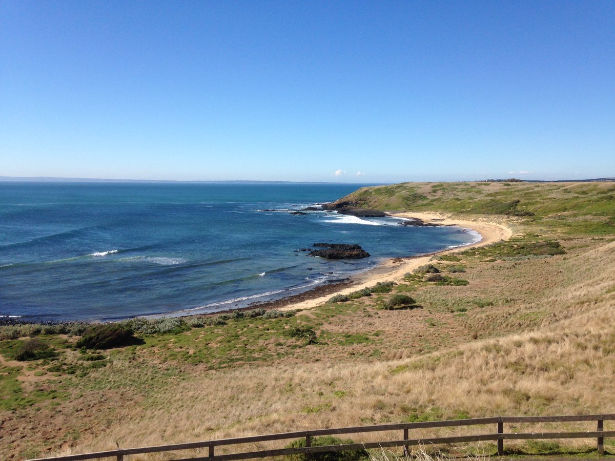 PIWalkabout's tweet image. Walked 10km today including a lap of Summerlands, home to a large penguin colony
