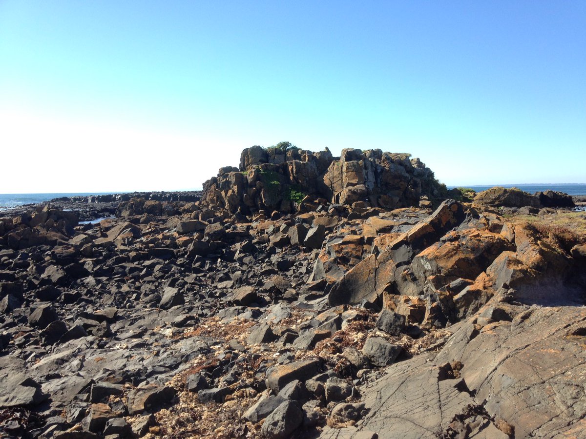 PIWalkabout's tweet image. Walked 10km today including a lap of Summerlands, home to a large penguin colony