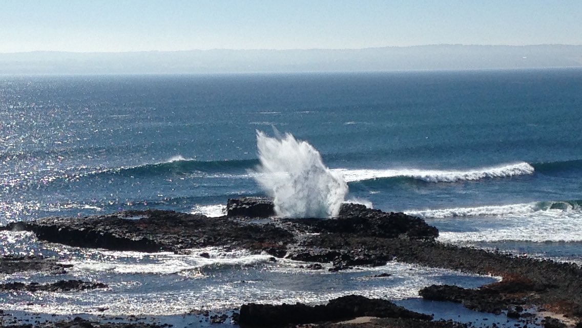 PIWalkabout's tweet image. Walked 10km today including a lap of Summerlands, home to a large penguin colony