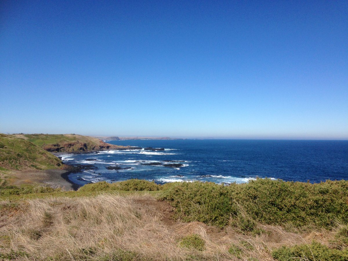 PIWalkabout's tweet image. Walked 10km today including a lap of Summerlands, home to a large penguin colony