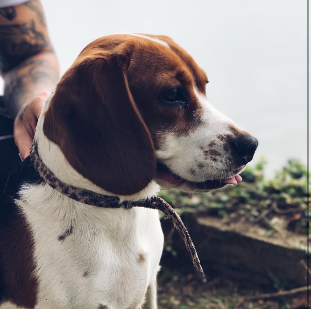 ProjetoHelpFly's tweet image. Últimas atualizações do Caíque (@GAMACAIQUE) em sua conta no Instagram.