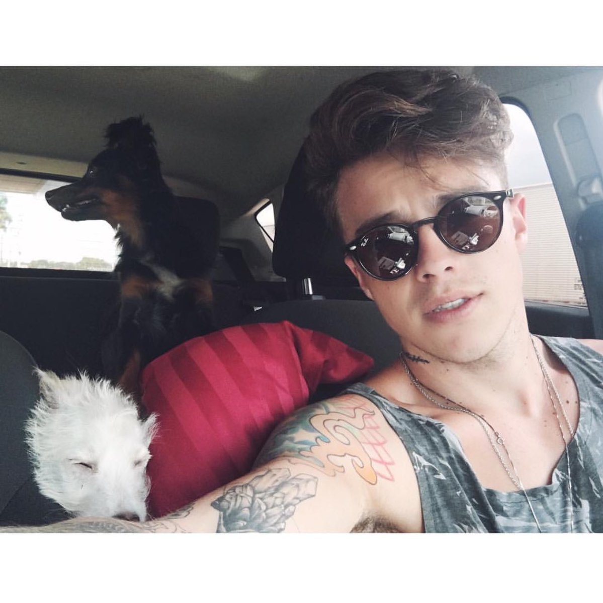 ProjetoHelpFly's tweet image. Últimas atualizações do Paulo (@pcastagnoli) em sua conta no Instagram.