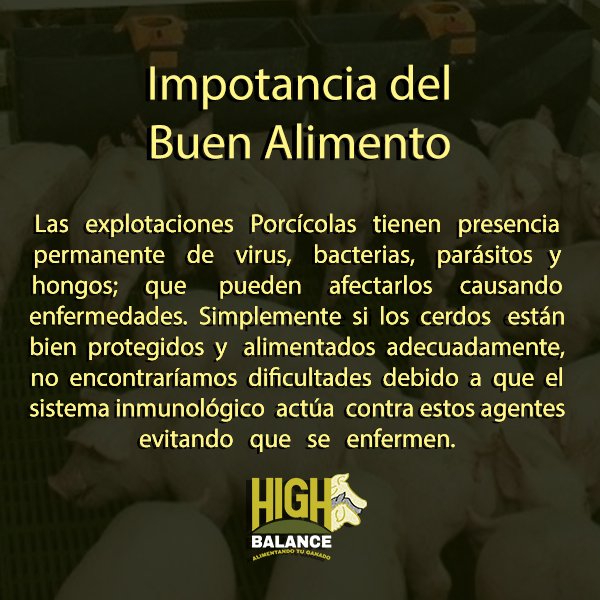 highbalace_emp's tweet photo. ¿Será importante la buena alimentación de los cerdos?
#HighBalance #AlimentoPorcino https://t.co/94lGkvvR29