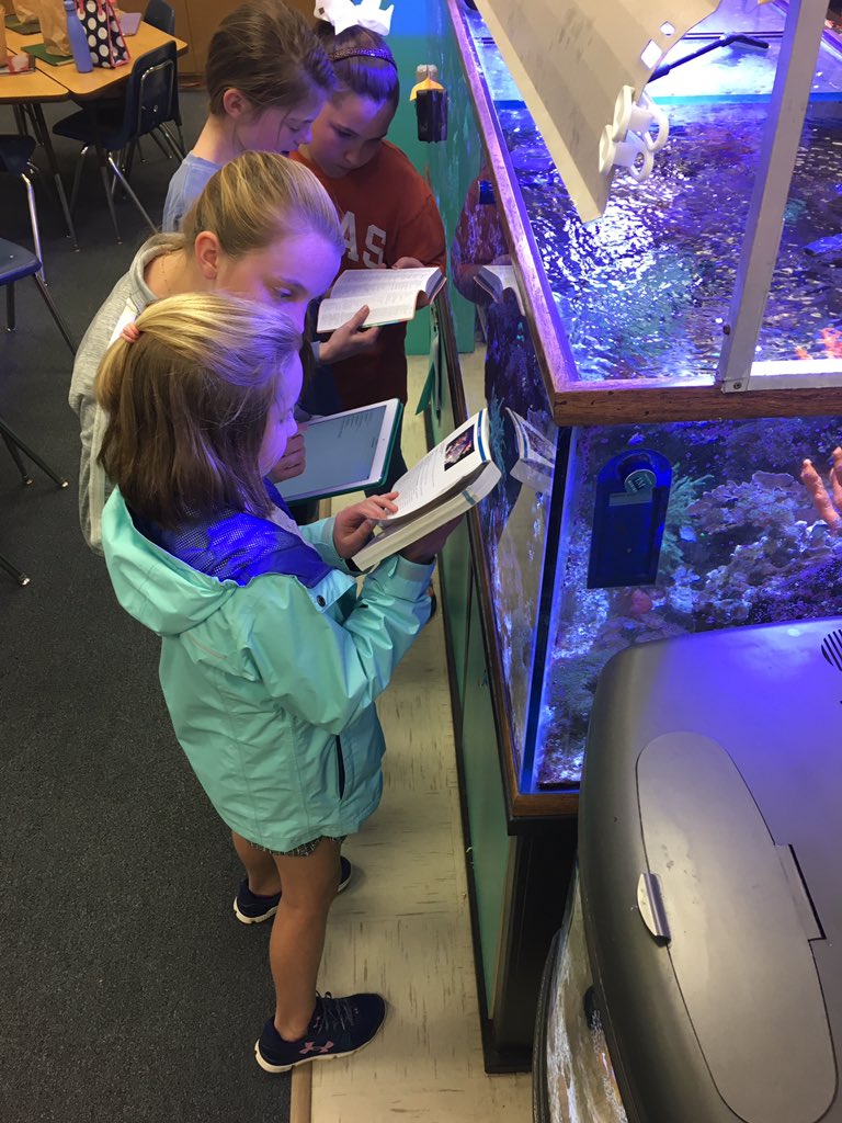 AU_reefteach's tweet photo. WMR coral kids researching all our reef critters. #CelebrateAuburn #lovemytechcohort #ReefGrow #RodsFood #ReefBrite #breefconnection https://t.co/3mRyryGdPR