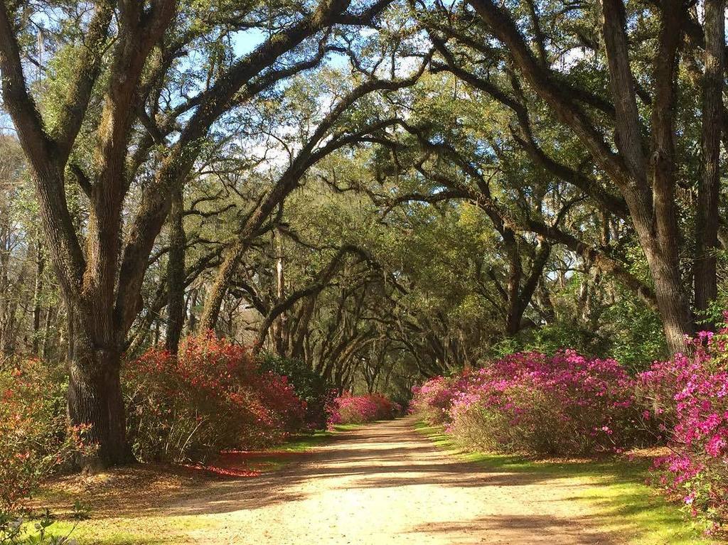 Louisiana Travel On Twitter Afton Villa Gardens In