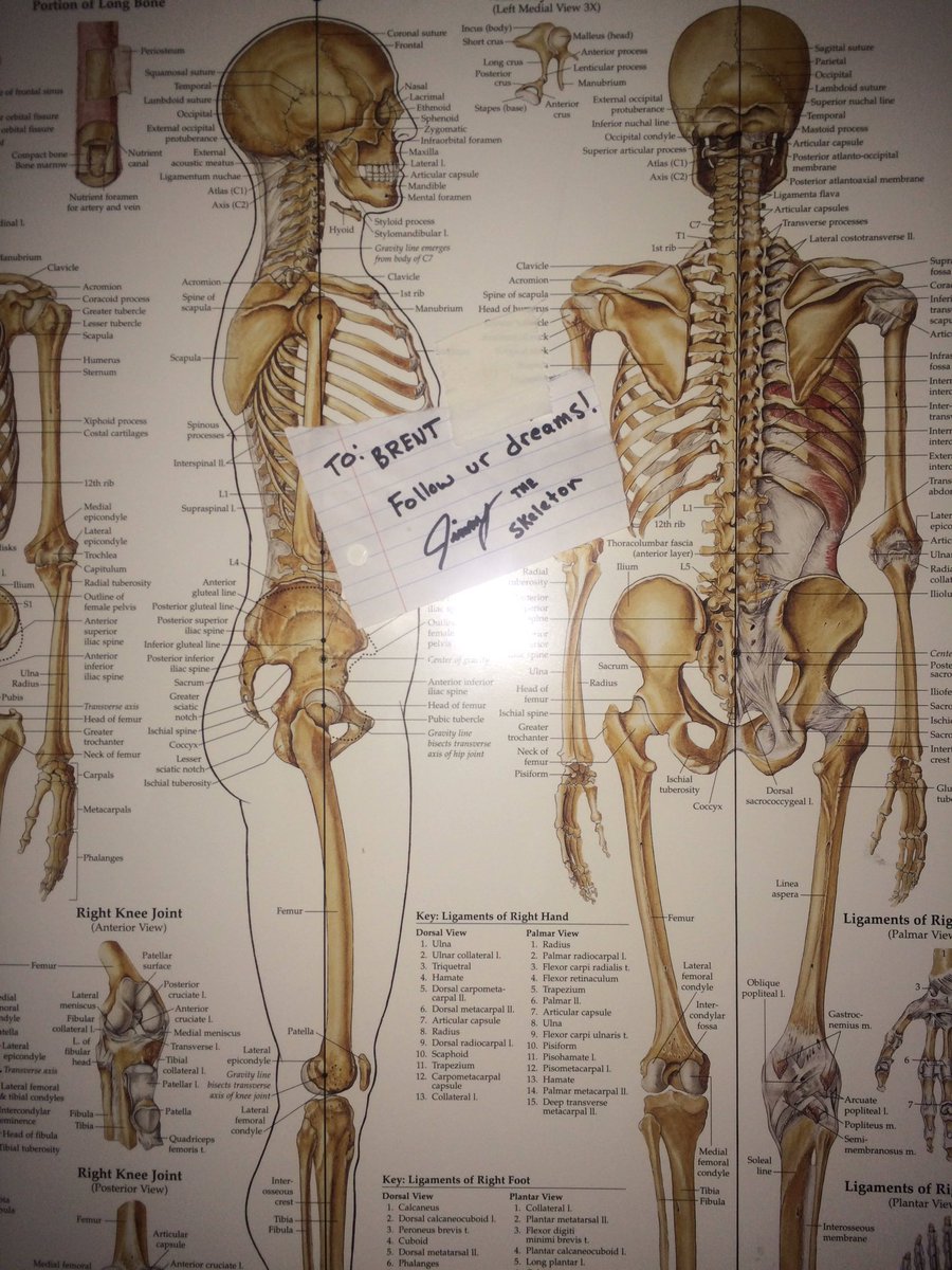 TopVeloJimmy's tweet photo. I really appreciate everything @TopVelocity has done so I thought this was the least I could do.. https://t.co/7lxcxA0iSP
