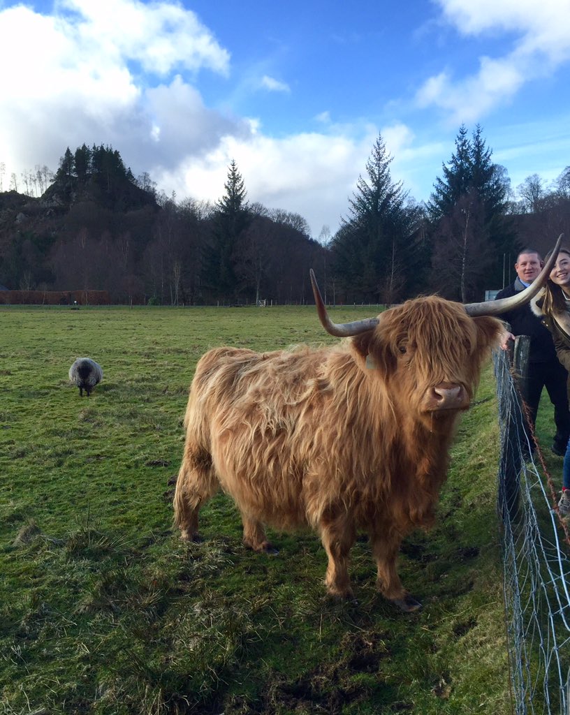 EmilyBreite's tweet photo. Look at this guy! Met him on the way to Loch Katrine...may have made our day #mvireland #MVInterim https://t.co/onRHUhY8t0
