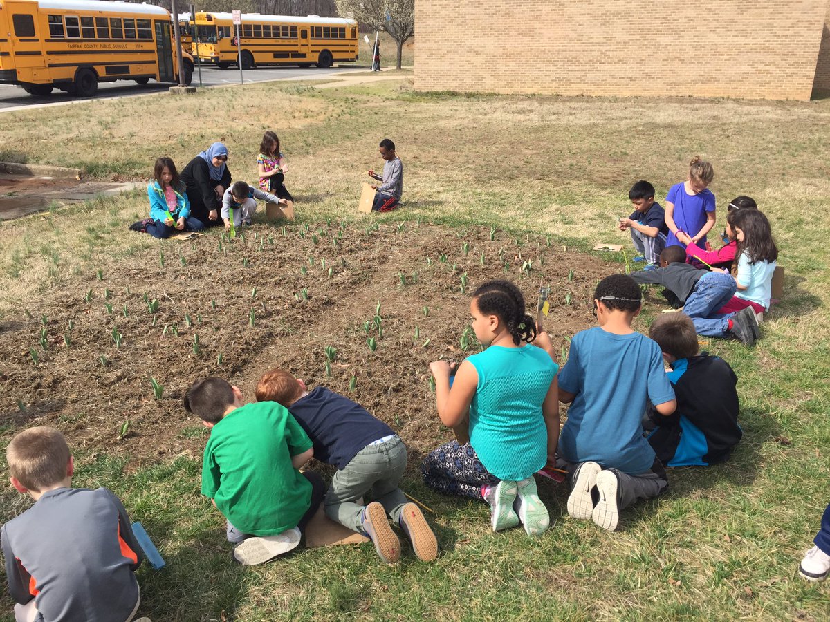MrWallsClass's tweet photo. Day three of measuring the Tulip Garden so we can graph our data!!
#mathworkshop #realworldapplication @CFESRedBirdsAAP https://t.co/rFvGeWay2I