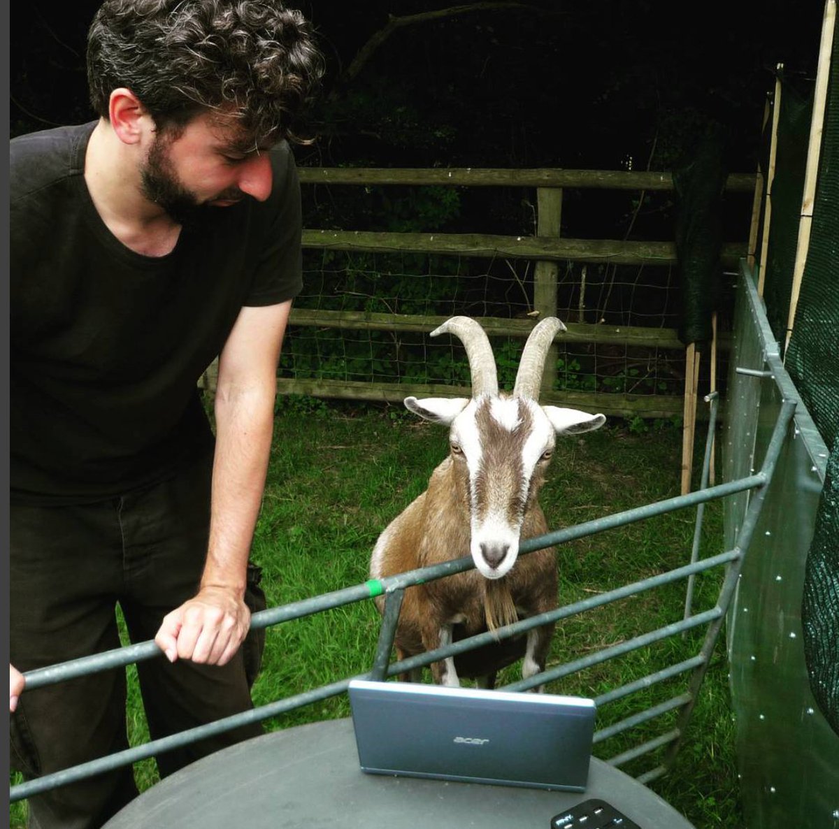 As a goat I want to work for remote-friendly companies so that I know they value diversity and differently-abled goats
Pic: <a href="/goatsthatstare/">Christian Nawroth</a>