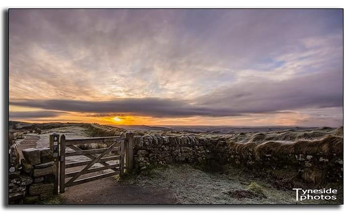 dave_siggens's tweet photo. @NE_Happening @NorthumbrianImg @niumephoto @DigitalSLRPhoto @InspirationalNE @landscape_brit #picsher @TheAmazingPics @VisitNland https://t.co/gmLa6bYPXZ