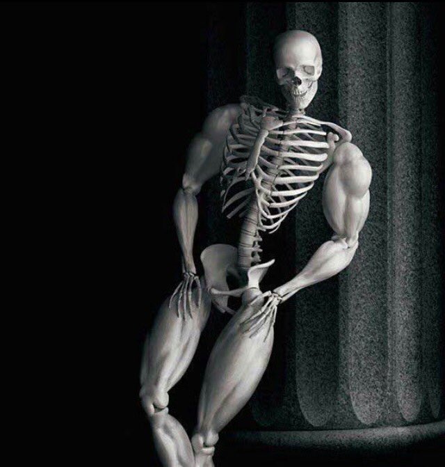 TopVeloJimmy's tweet photo. Guys, if you don't do it for the velo, at least try @TopVelocity for the GAINZ!!! #swoleteam6 #ARMFARM #comeatmebro https://t.co/jpquT8cLiq