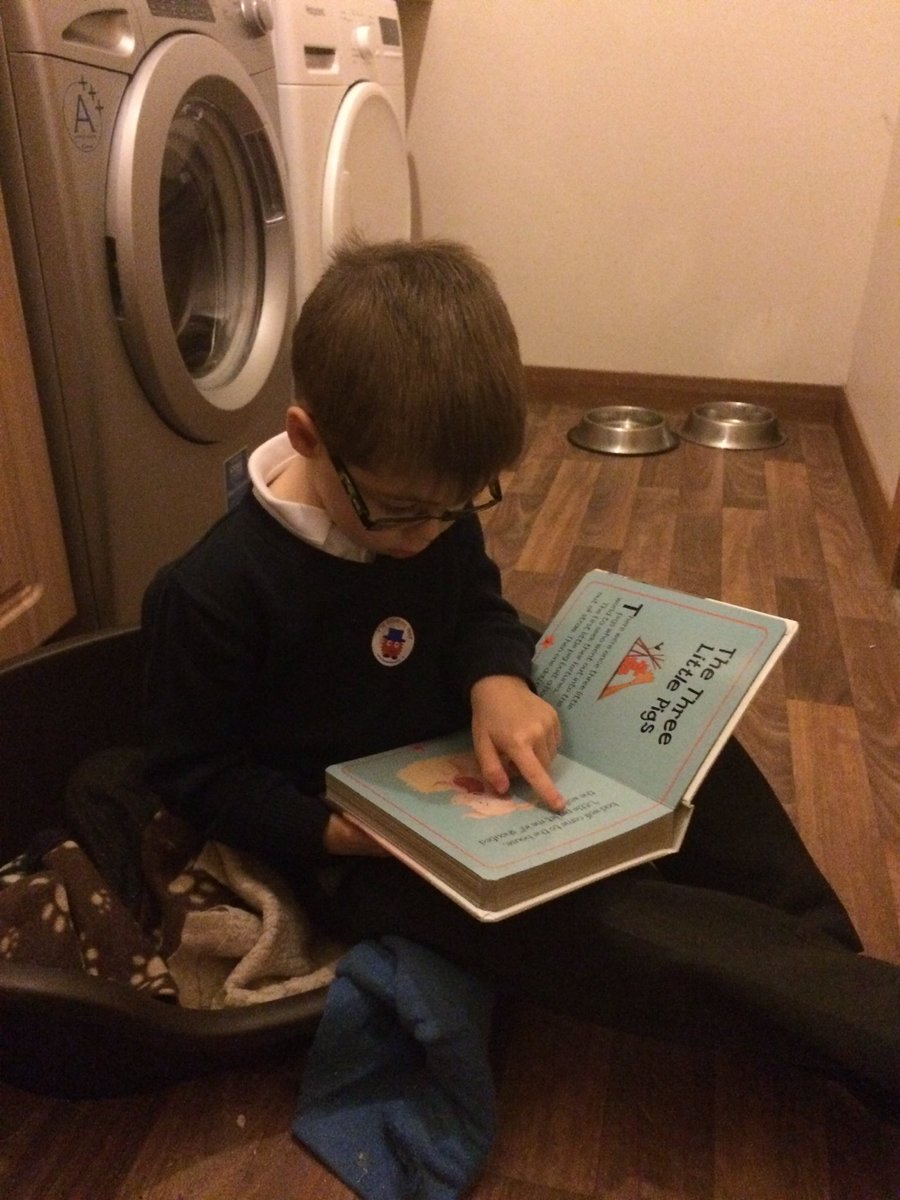 KerryDaniel's tweet photo. @InverbrothPS Finley thought the most unusual place to read a book was in his dog's dog bed ๐ #bookweek2017 #readingdare #P1/2H https://t.co/P5udOPMCJK