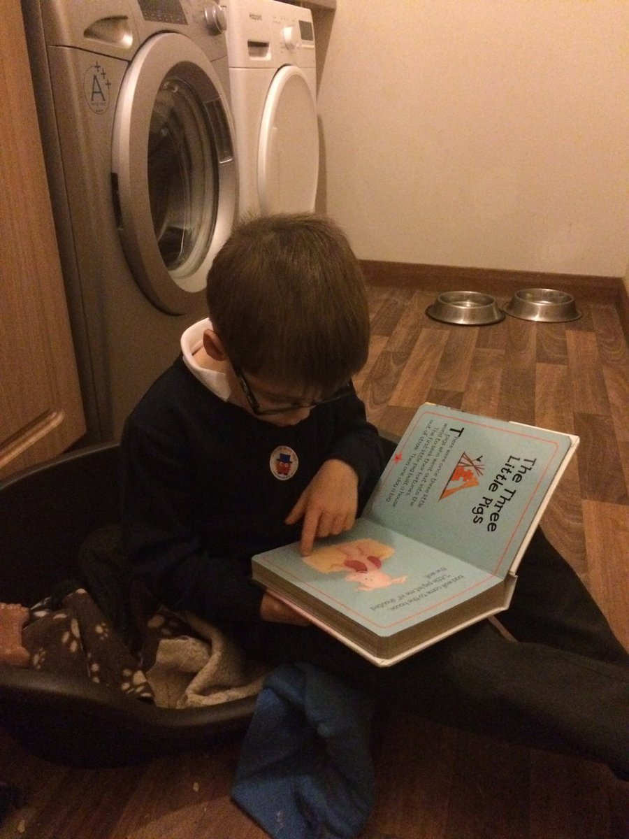 KerryDaniel's tweet photo. @InverbrothPS Finley thought the most unusual place to read a book was in his dog's dog bed ๐ #bookweek2017 #readingdare #P1/2H https://t.co/P5udOPMCJK