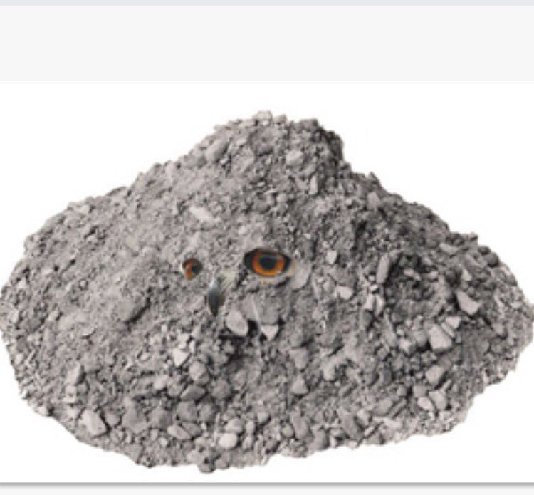 Uglan er fyndin með orðagrín í dag
Takk og bless