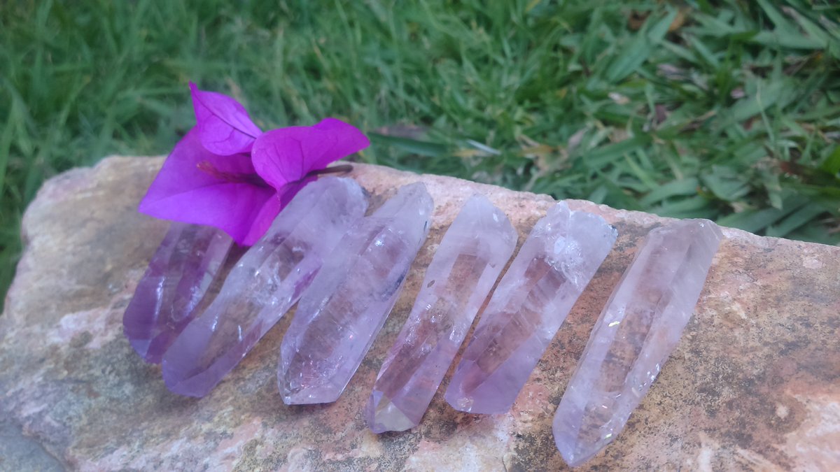 MexicoMineral's tweet photo. ARTICULO NUEVO https://t.co/7QmVo3Dz1n HERMOSAS PUNTAS NATURALES DE AMATISTA PROCEDENTES DE LAS VIGAS VERACRUZ. #Cuarzo #Amatista #Enpunta https://t.co/cl6fozyb4i