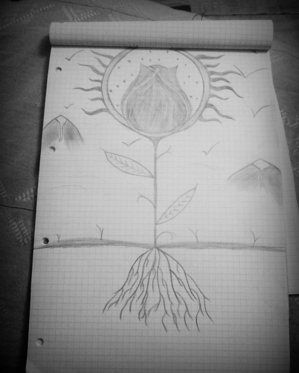 LDerbor's tweet image. 