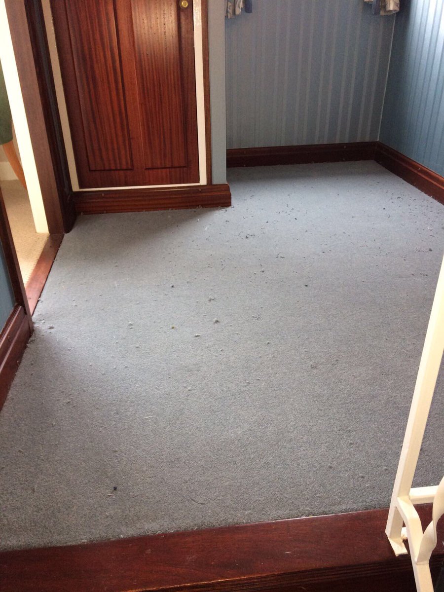 John Hughes Carpets (jhughescarpets) Twitter